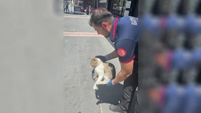 MAZGALDAN GELEN SES HAREKETE GE&Ccedil;İRDİ