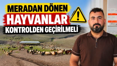 MERADAN D&Ouml;NEN HAYVANLAR KONTROLDEN GE&Ccedil;İRİLMELİ