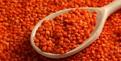 Mercimek alım fiyatı ton başına 14 bin lira oldu