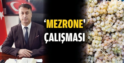 ‘Mezrone’ çalışması