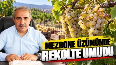 Mezrone &Uuml;z&uuml;m&uuml;nde Rekolte Umudu