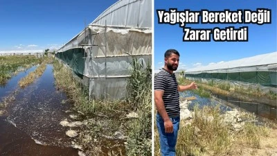 MİLYONLUK ZARAR