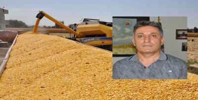 MISIR’DA FİYAT 2 BİN 500 ALTINDA OLMAMALI