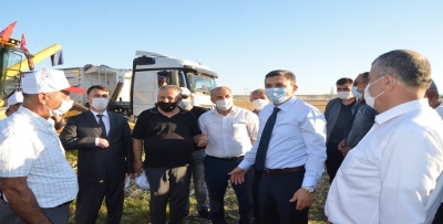 Mısırda verim yüksek