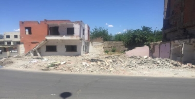 MOLOZ YIĞINLARI OLUŞTU