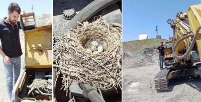Motoruna yuva yapan kuşlar için iş makinesini çalıştırmadı