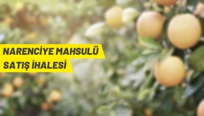 NARENCİYE SATIŞ İHALESİ
