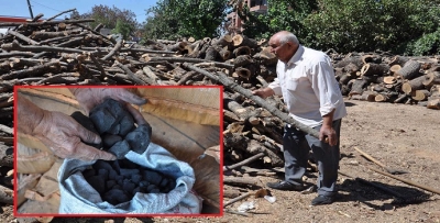 ODUN VE KÖMÜRE İLGİ ARTTI