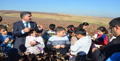 ÖĞRENCİLER TARLADA!