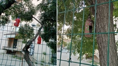 OKUL BAH&Ccedil;ESİ KUŞLARA EV OLDU