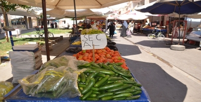ORGANİK ÜRÜN PAZARI