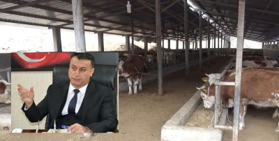 "Organize Hayvancılık Bölgesi Avantaj Sunacak"