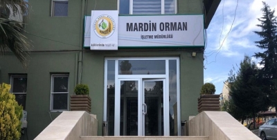 ORMAN YOLU YAPILACAK