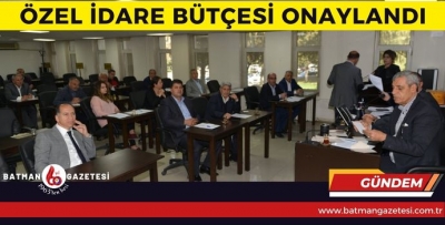 ÖZEL İDARE BÜTÇESİ ONAYLANDI