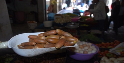PALAMUT TEZGAHLARDA