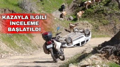PANCAR TOPLAMAYA GİDENLER &Ouml;L&Uuml;MDEN D&Ouml;ND&Uuml;