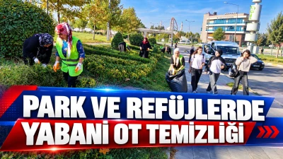 PARK VE REF&Uuml;JLERDE YABANİ OT TEMİZLİĞİ