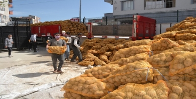 PATATES DAĞITIMI SÜRÜYOR