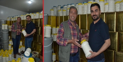 PEYNİRCİLİK SEKTÖRÜ GELİŞİYOR