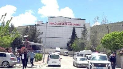 PİKNİKTE AKREP ŞOKU!