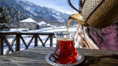 RAKAMLARLA TESCİLLENDİ