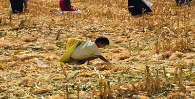 ‘SAP’ UMUDU