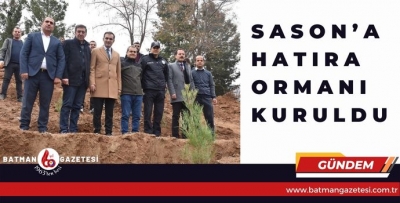 SASON’A HATIRA ORMANI KURULDU
