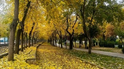 ŞEHİRDE 4 GÜN SÜRECEK SÜRPRİZ UYGULAMA 