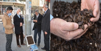 ŞEMBELİLK GEÇİM KAYNAĞI OLDU