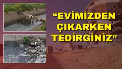 SİVRİSİNEK VE KİRLİLİK ŞİKAYETİ