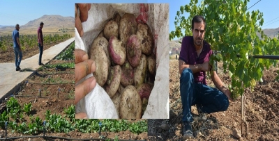 ŞÉLIM TEHLİKEDE!