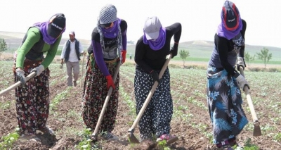 SOSYAL GÜVENCESİZ KADINLAR İÇİN ÖNERGE