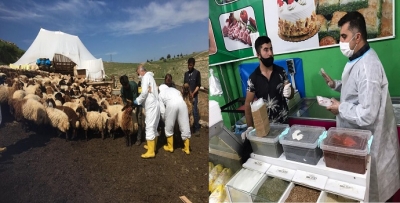 TARIMCILAR DAĞ-TAŞ GEZİYOR