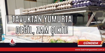 TAVUKTAN YUMURTA DEĞİL, ZAM ÇIKTI!