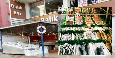 TAZE BALIĞIN ADRESİ