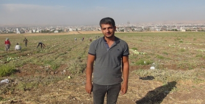 Toplasa zarar, bıraksa zarar!