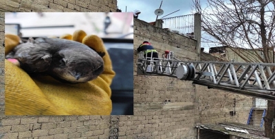 TÜM ÇABALAR KUŞ İÇİN