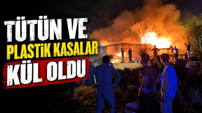 T&Uuml;T&Uuml;N VE PLASTİK KASALAR K&Uuml;L OLDU