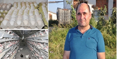 ÜRETİCİLER YUMURTA FİYATLARINDAKİ ARTIŞ HAKKINDA NE DÜŞÜNÜYOR?