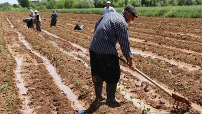 ÜRETİCİLERE 5.1 MİLYAR TL ÖDEME DESTEĞİ