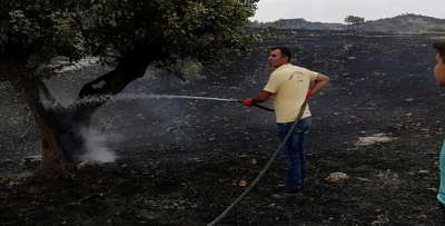 ÜZÜM VE FISTIK AĞACI YANDI