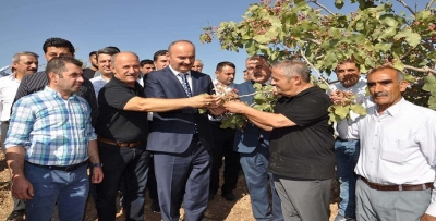 VERİM DÜŞTÜ, FİYATI ARTTI!