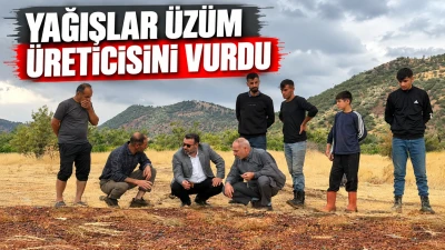 Yağışlar &Uuml;z&uuml;m &Uuml;reticisini Vurdu