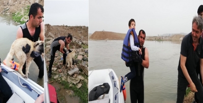 YENİ BİR KURTARMA TELAŞI