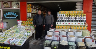 YERLİ TOHUM İSRAİL TOHUMUNU GEÇTİ