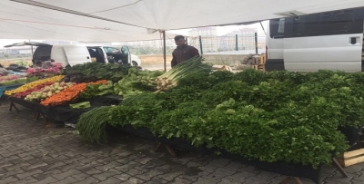 YEŞİLLİKTE LÜKS OLDU