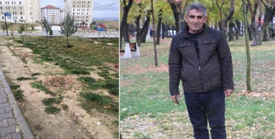 YILBAŞI ÖNCESİ ÇAM AĞACI ÇALDILAR