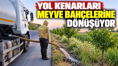 Yol kenarları meyve bah&ccedil;elerine d&ouml;n&uuml;ş&uuml;yor